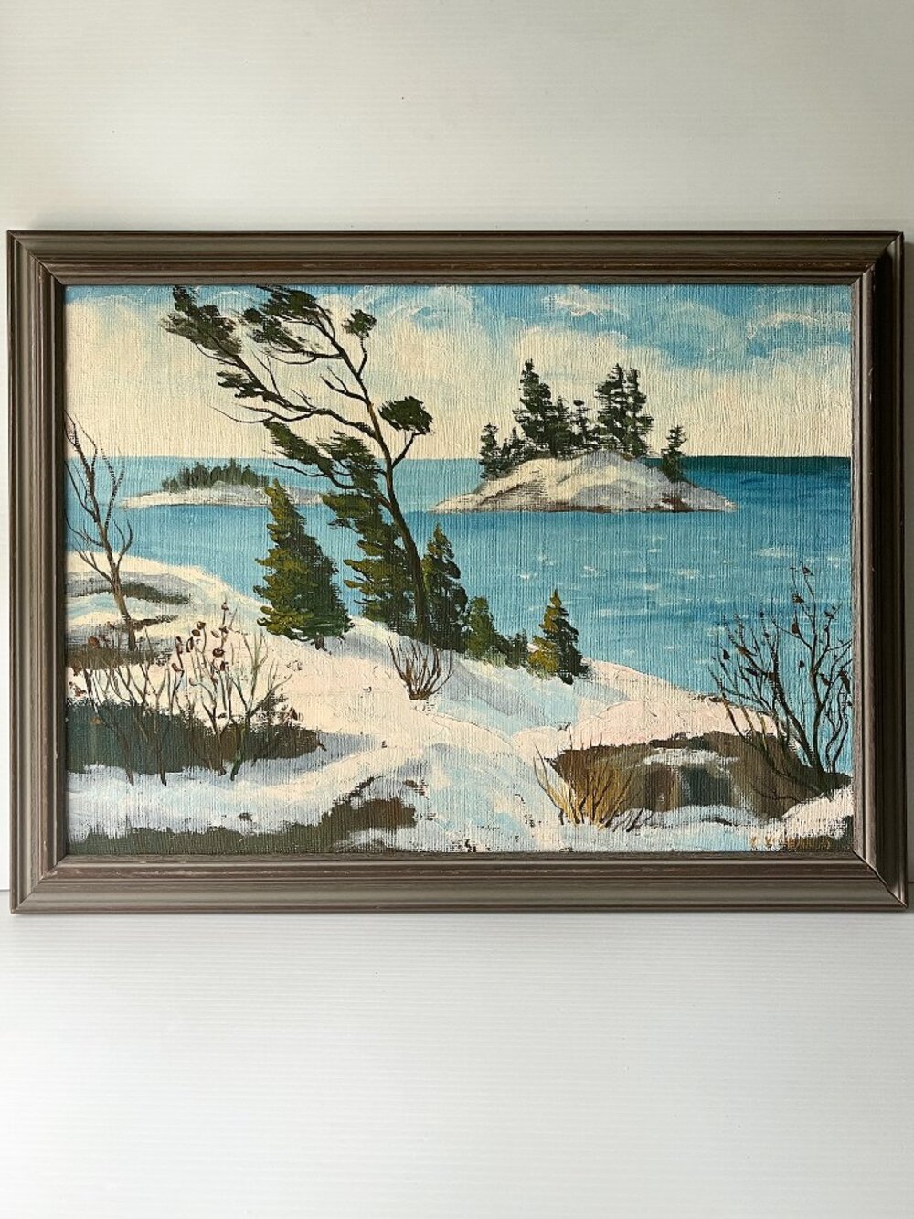 Original Vintage Oil Painting Winter Lake Landscape Signed C. Videan 76 Framed